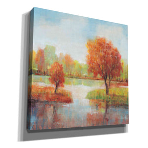 'Lake Reflections II' by Tim O'Toole, Canvas Wall Art