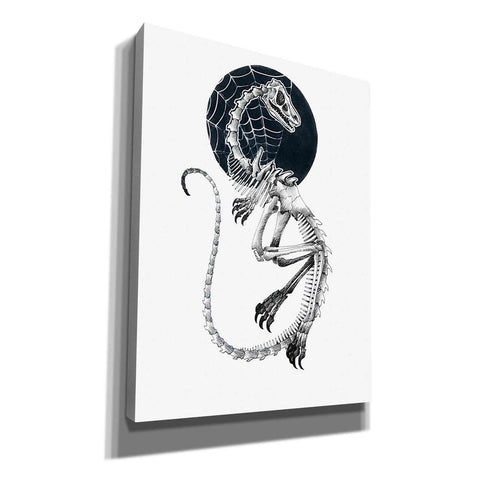 Image of 'Skeletal Velociraptor ' by Avery Multer, Canvas Wall Art