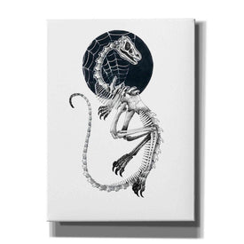 'Skeletal Velociraptor ' by Avery Multer, Canvas Wall Art