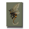 'Bee Dragon Celadon' by Avery Multer, Canvas Wall Art