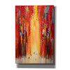 'Red Sky' by Ekaterina Ermilkina, Canvas Wall Art