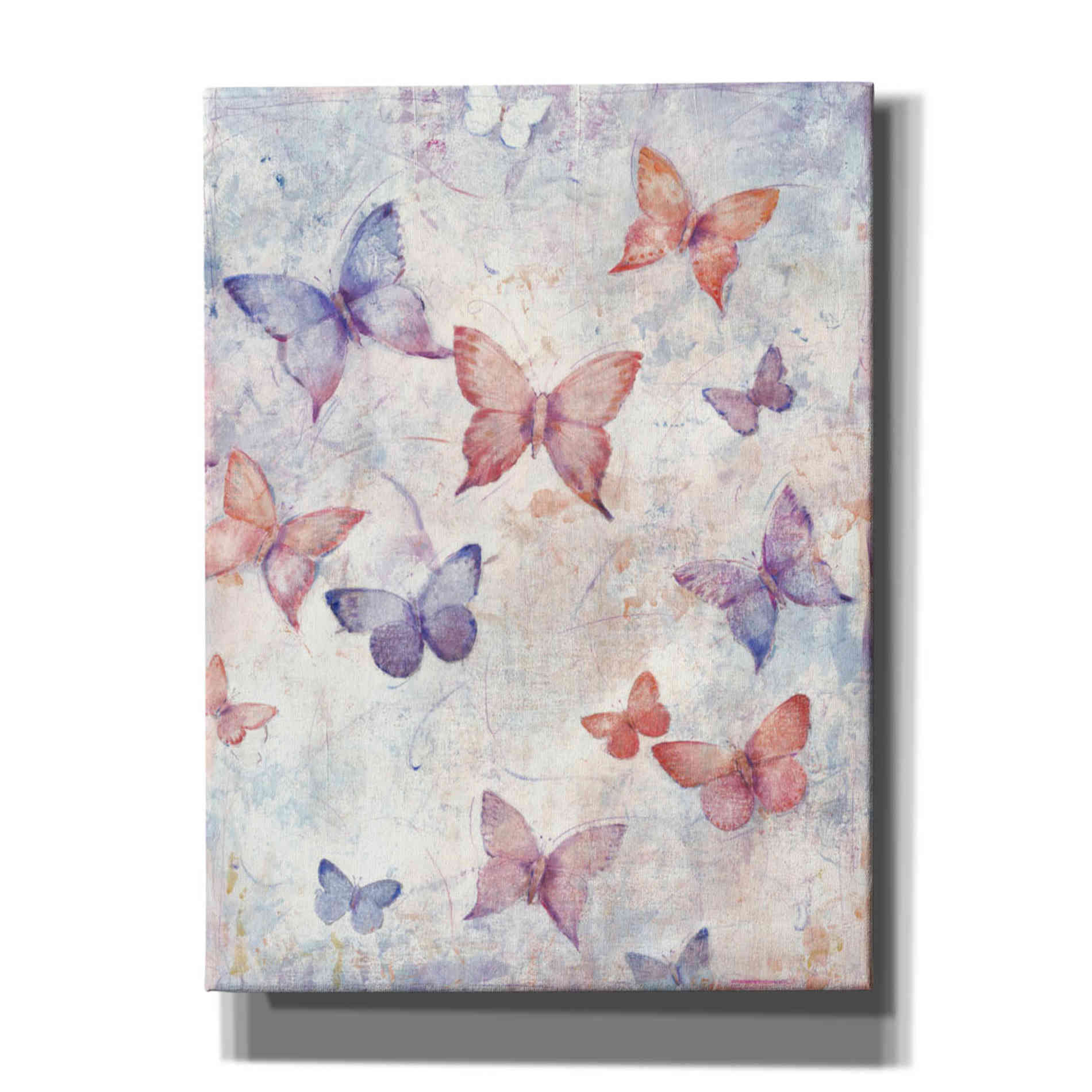 'In Flight I' by Tim O'Toole, Canvas Wall Art