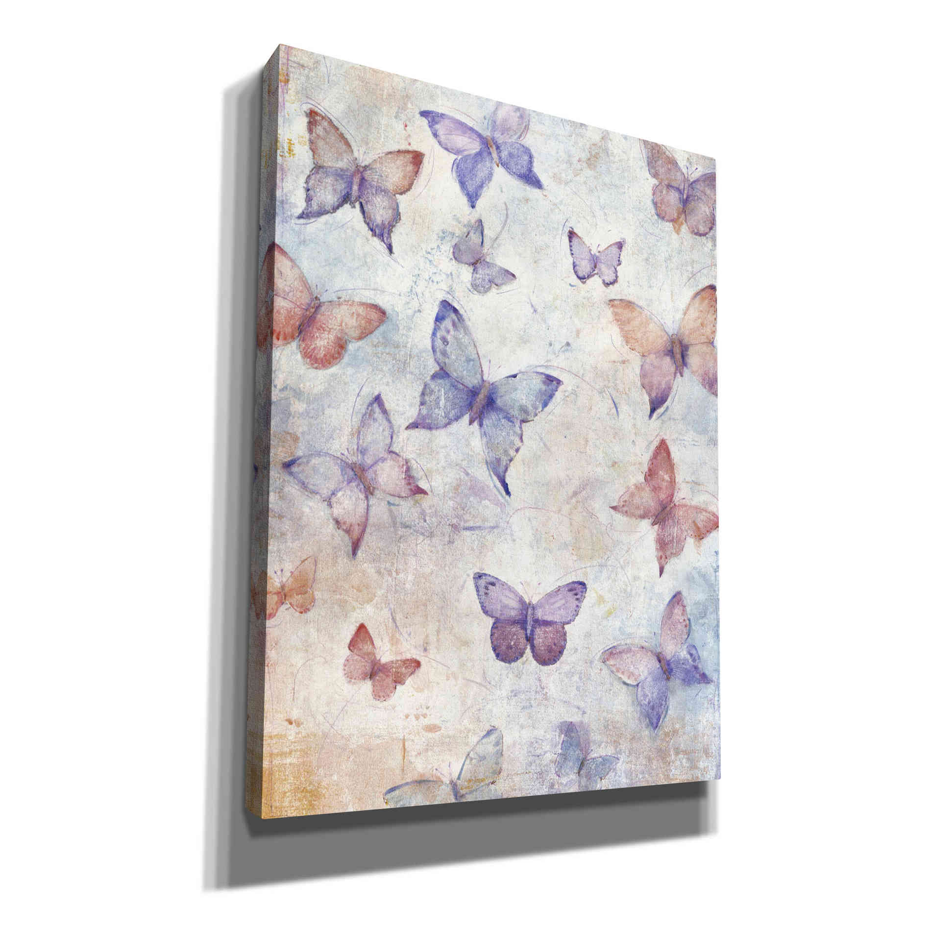'In Flight II' by Tim O'Toole, Canvas Wall Art