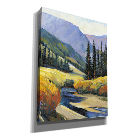 Image of 'Purple Mountain Majesty I' by Tim O'Toole, Canvas Wall Art
