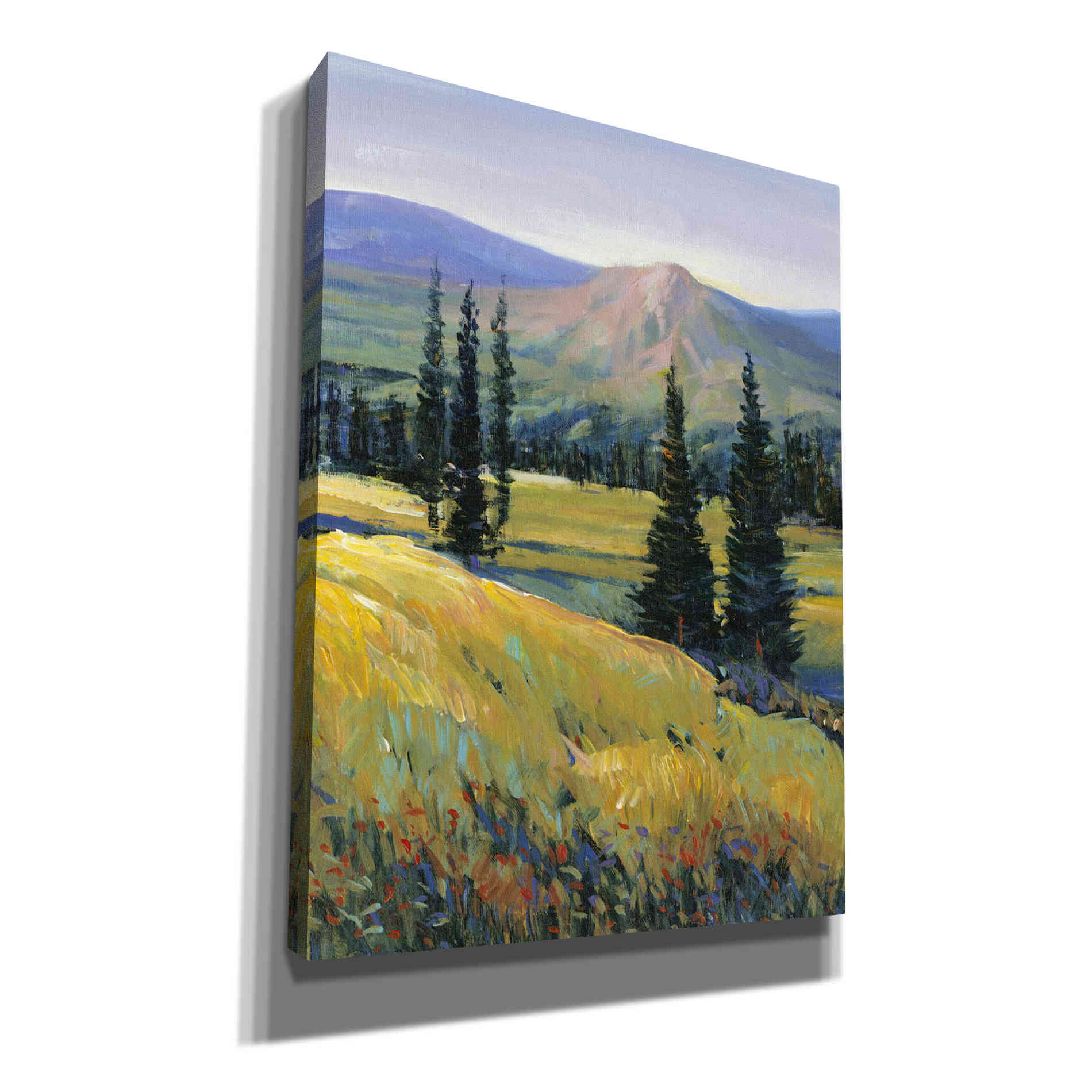 'Purple Mountain Majesty II' by Tim O'Toole, Canvas Wall Art