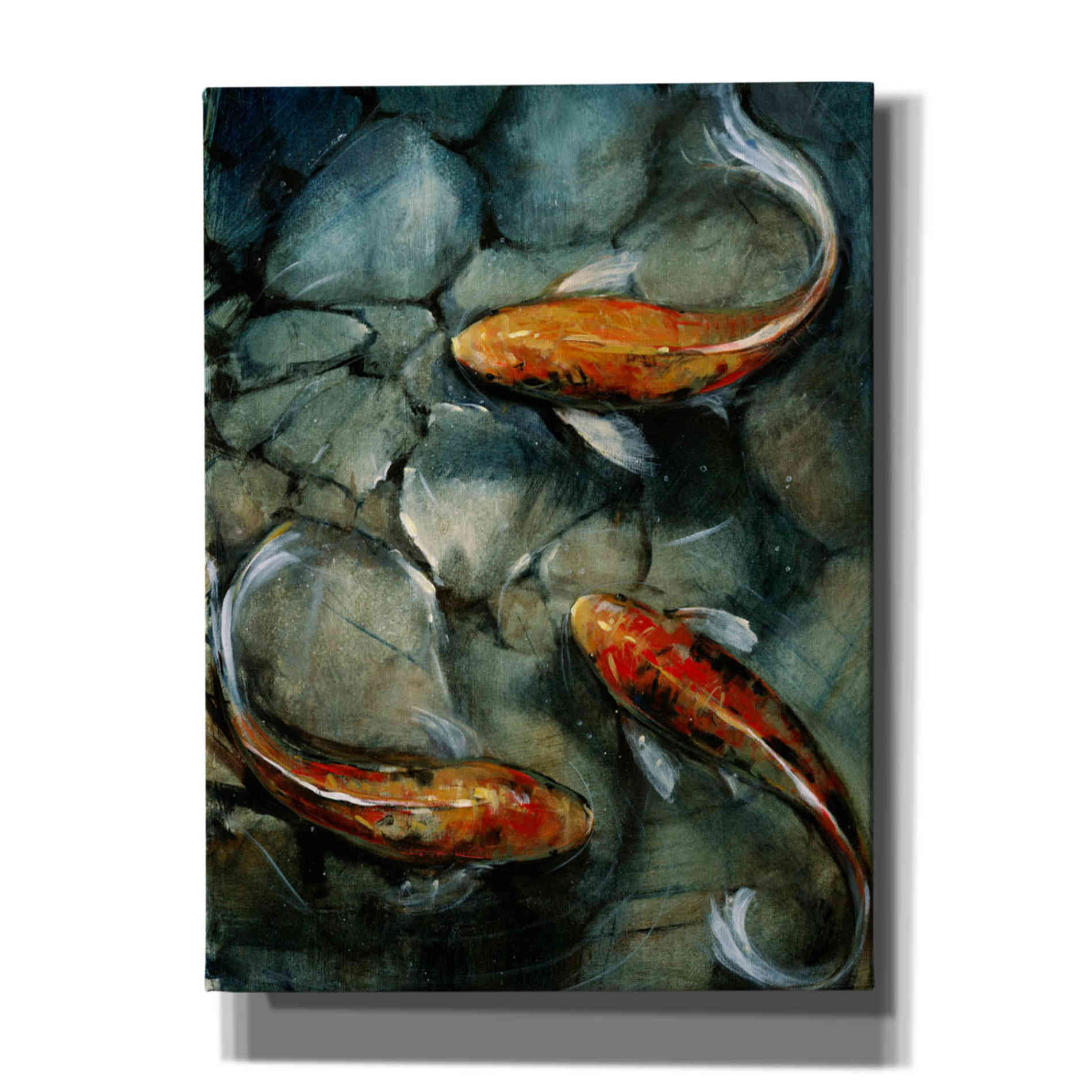 'Tres Koi I' by Tim O'Toole, Canvas Wall Art