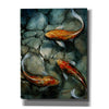 'Tres Koi I' by Tim O'Toole, Canvas Wall Art