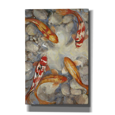 Image of 'Vibrant Koi I' by Tim O'Toole, Canvas Wall Art
