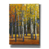 'Fall in Glory I' by Tim O'Toole, Canvas Wall Art
