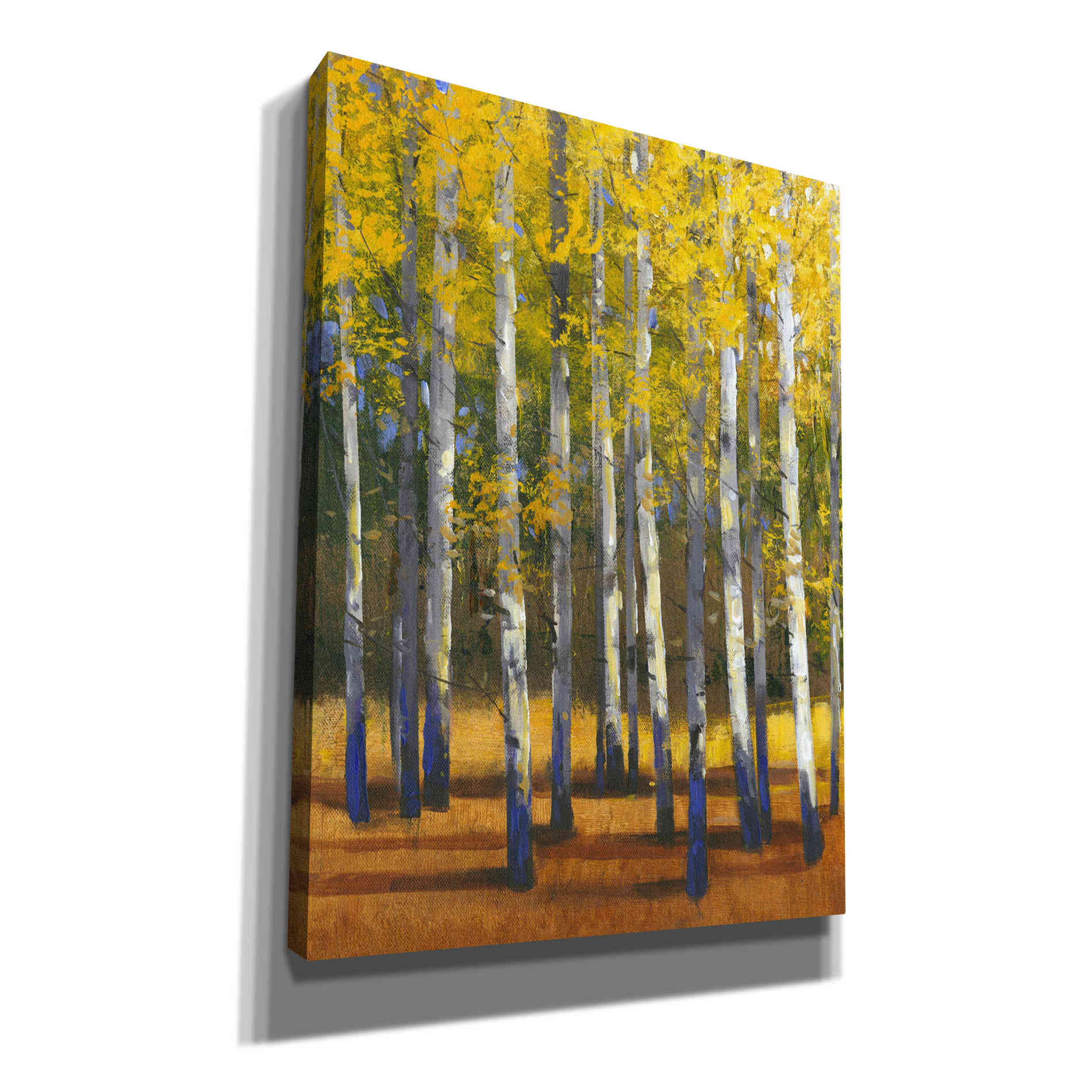 'Fall in Glory II' by Tim O'Toole, Canvas Wall Art