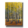 'Fall in Glory II' by Tim O'Toole, Canvas Wall Art