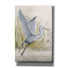 'Heron Sanctuary I' by Tim O'Toole, Canvas Wall Art