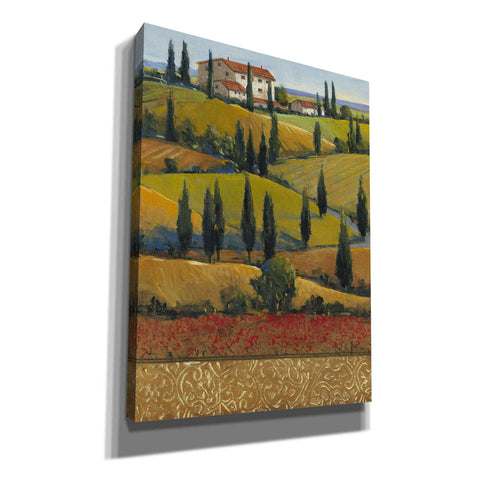 Image of 'Hilltop Villa II' by Tim O'Toole, Canvas Wall Art