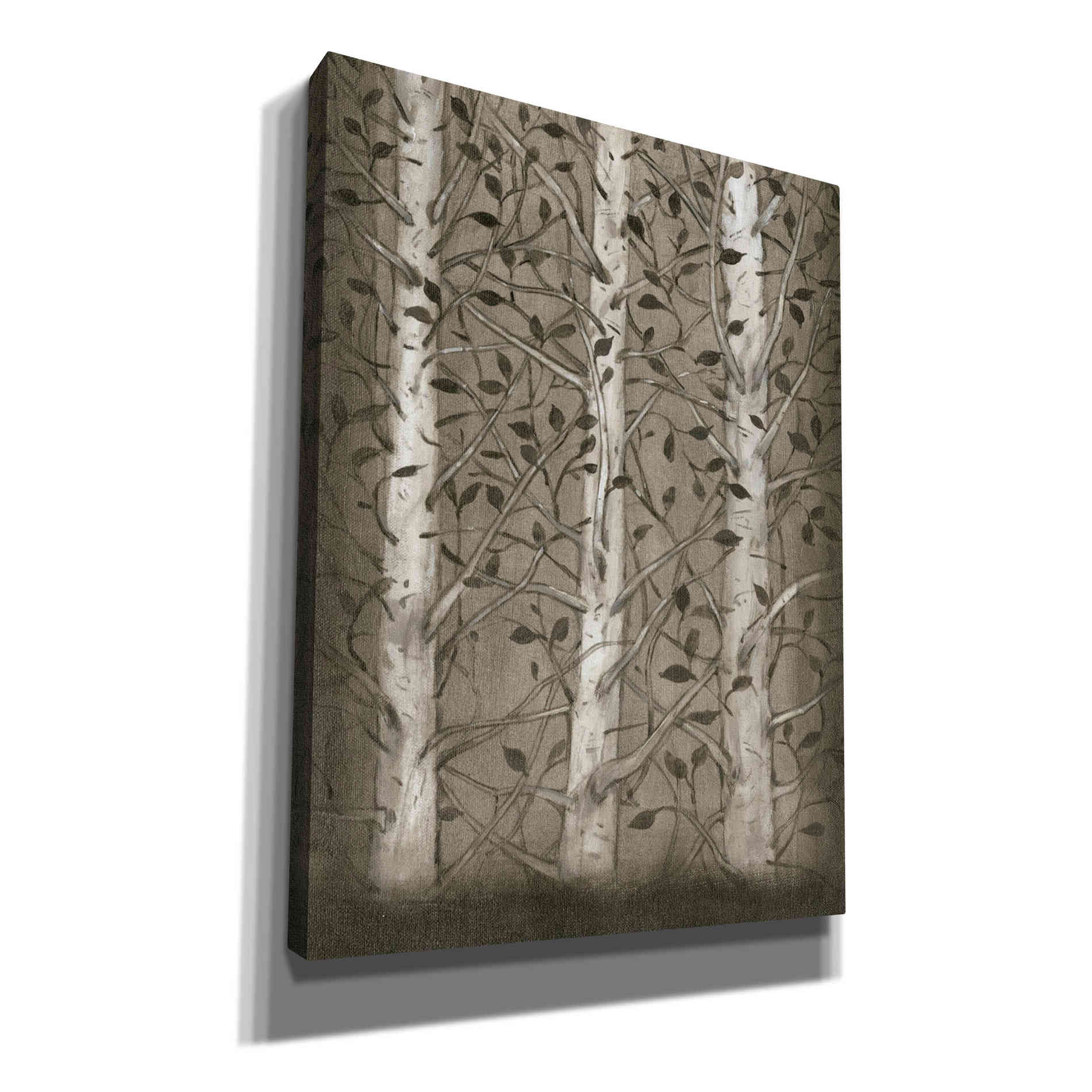 'Intertwine I' by Tim O'Toole, Canvas Wall Art