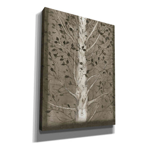 'Intertwine II' by Tim O'Toole, Canvas Wall Art