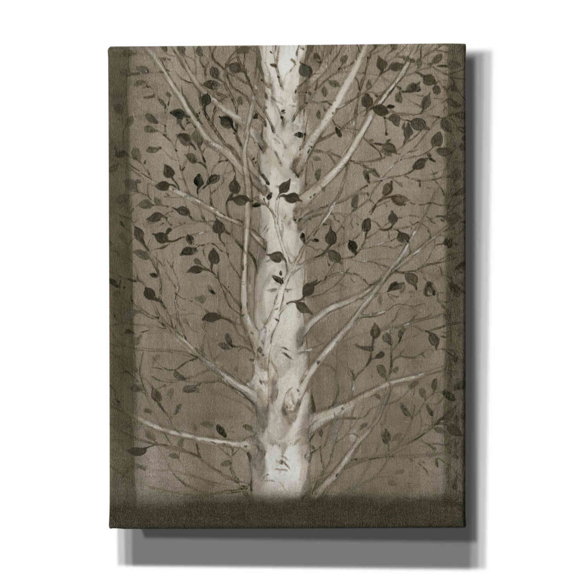 'Intertwine II' by Tim O'Toole, Canvas Wall Art