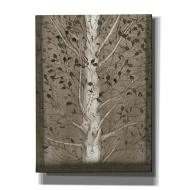 'Intertwine II' by Tim O'Toole, Canvas Wall Art