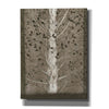 'Intertwine II' by Tim O'Toole, Canvas Wall Art