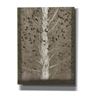 'Intertwine II' by Tim O'Toole, Canvas Wall Art