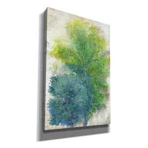 'A Pair of Trees II' by Tim O'Toole, Canvas Wall Art
