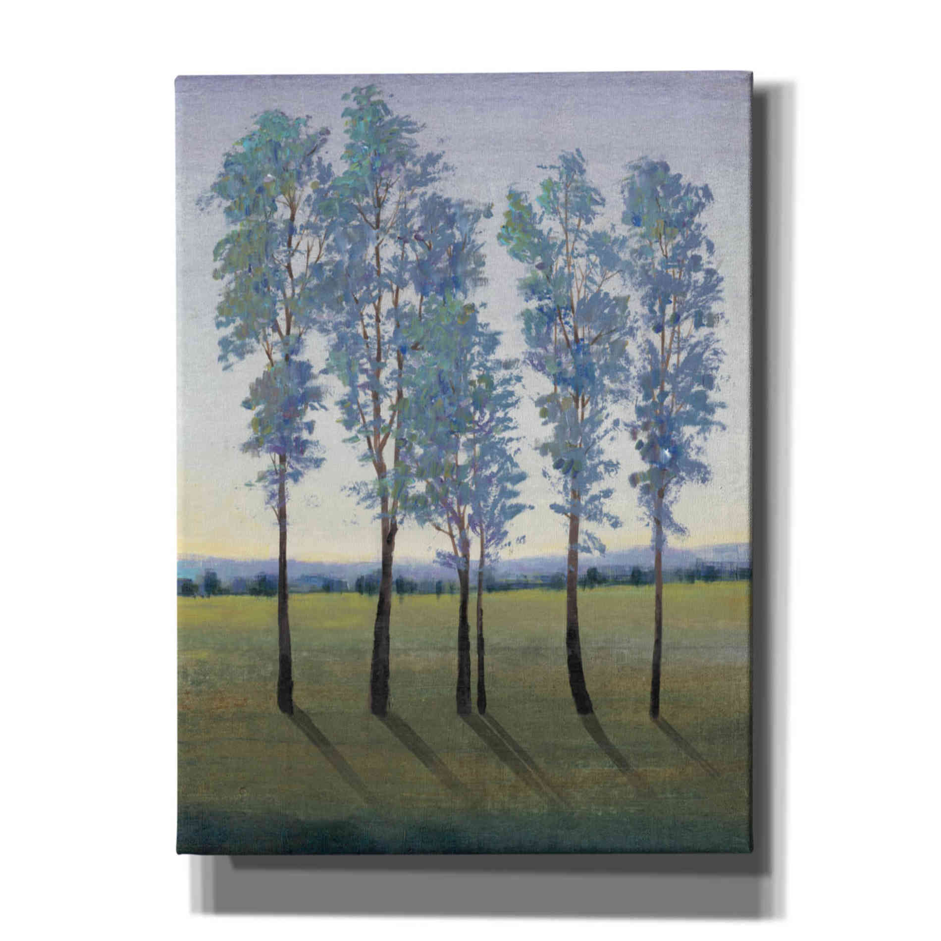 'Acreage II' by Tim O'Toole, Canvas Wall Art