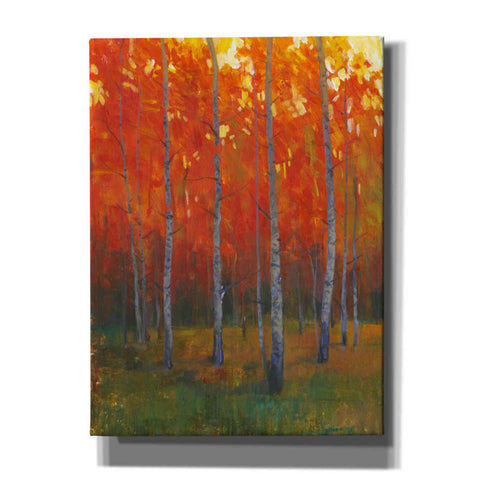 Image of 'Changing Colors II' by Tim O'Toole, Canvas Wall Art