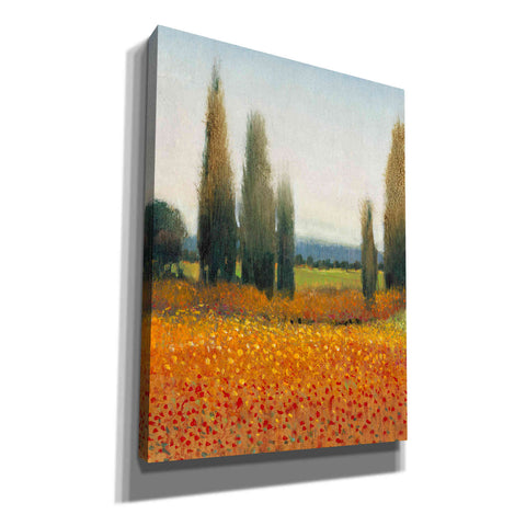 Image of 'Cypress Trees II' by Tim O'Toole, Canvas Wall Art