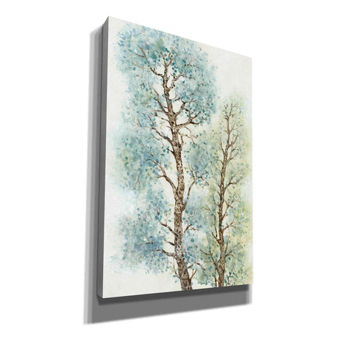 Image of 'Tranquil Tree Tops I' by Tim O'Toole, Canvas Wall Art