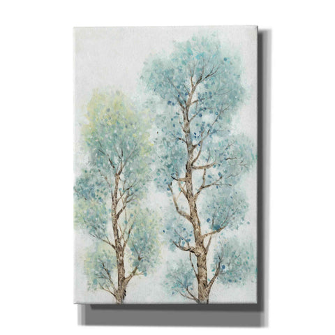 Image of 'Tranquil Tree Tops II' by Tim O'Toole, Canvas Wall Art
