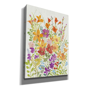 'Hot Summer Mix I' by Tim O'Toole, Canvas Wall Art