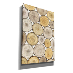'Tree Ring Study II' by Tim O'Toole, Canvas Wall Art