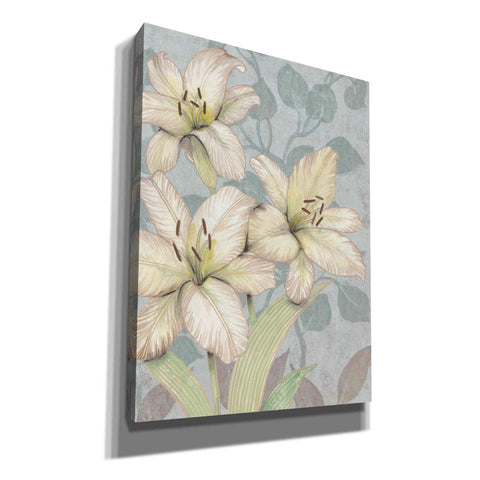 Image of 'Trois Fleurs I' by Tim O'Toole, Canvas Wall Art