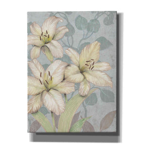 'Trois Fleurs I' by Tim O'Toole, Canvas Wall Art
