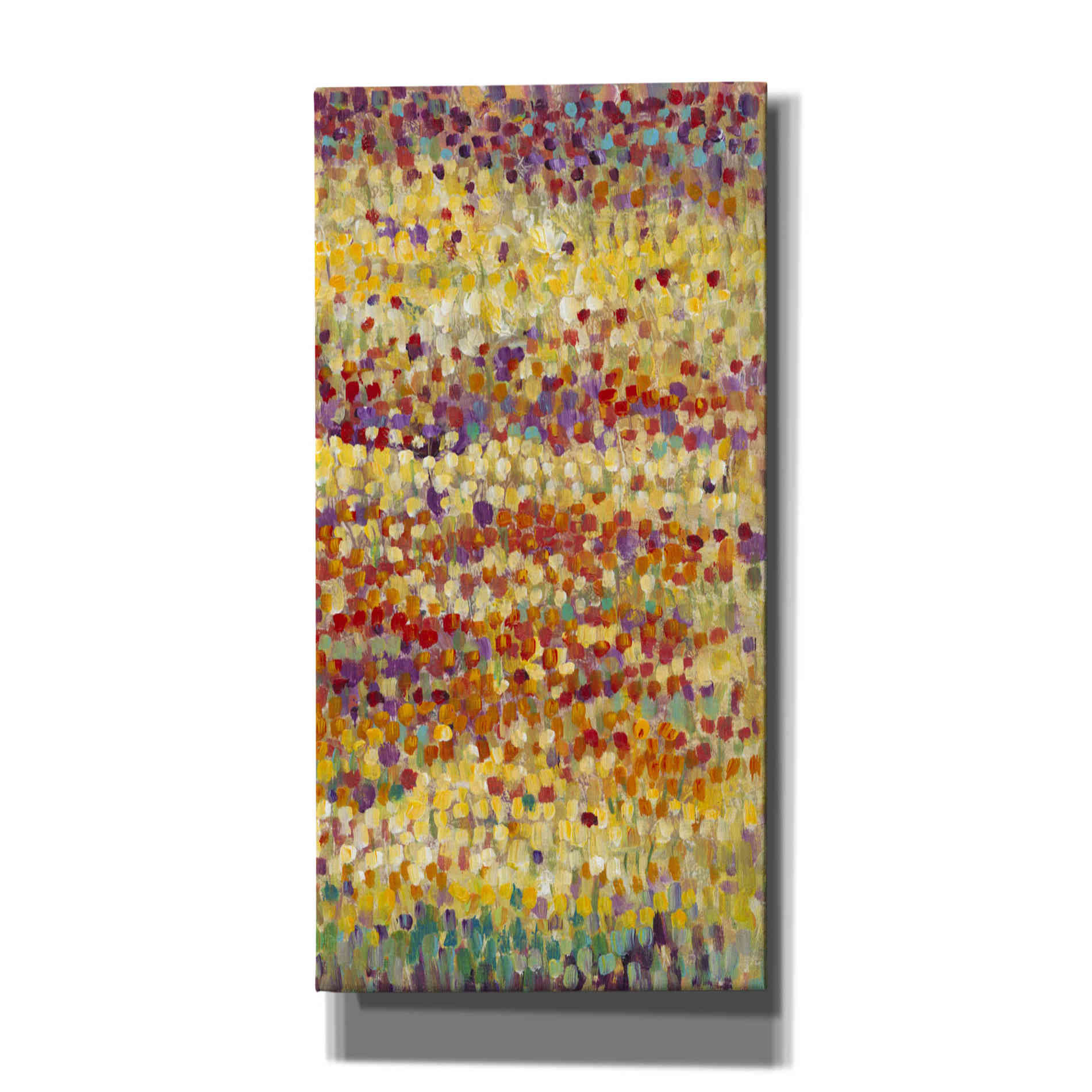 'Tulips in Bloom II' by Tim O'Toole, Canvas Wall Art