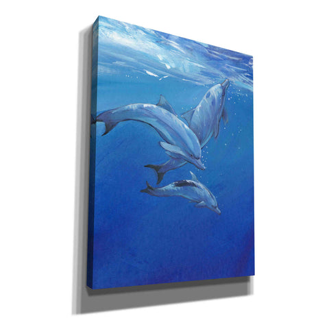 Image of 'Under Sea Dolphins' by Tim O'Toole, Canvas Wall Art