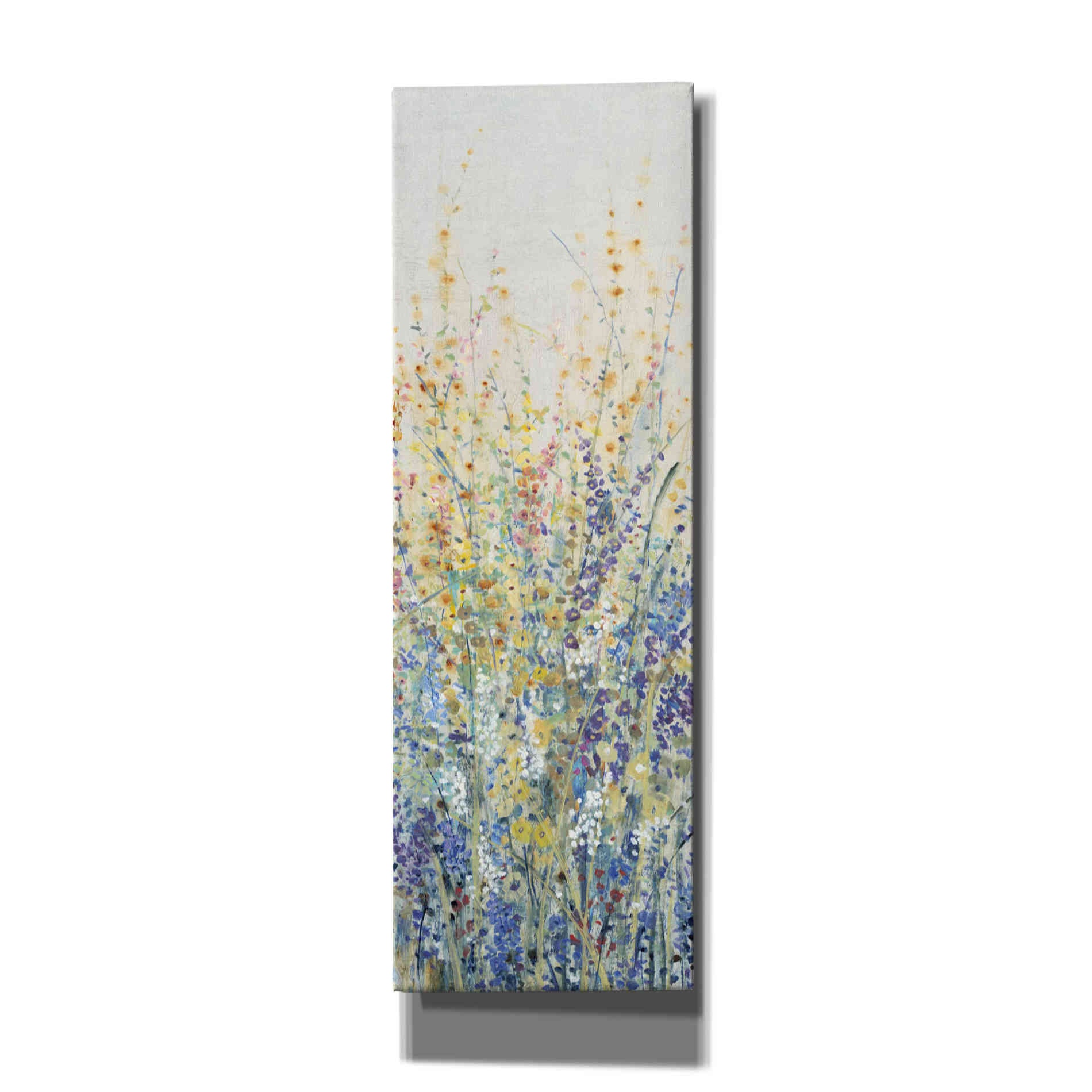 'Wildflower Panel I' by Tim O'Toole, Canvas Wall Art