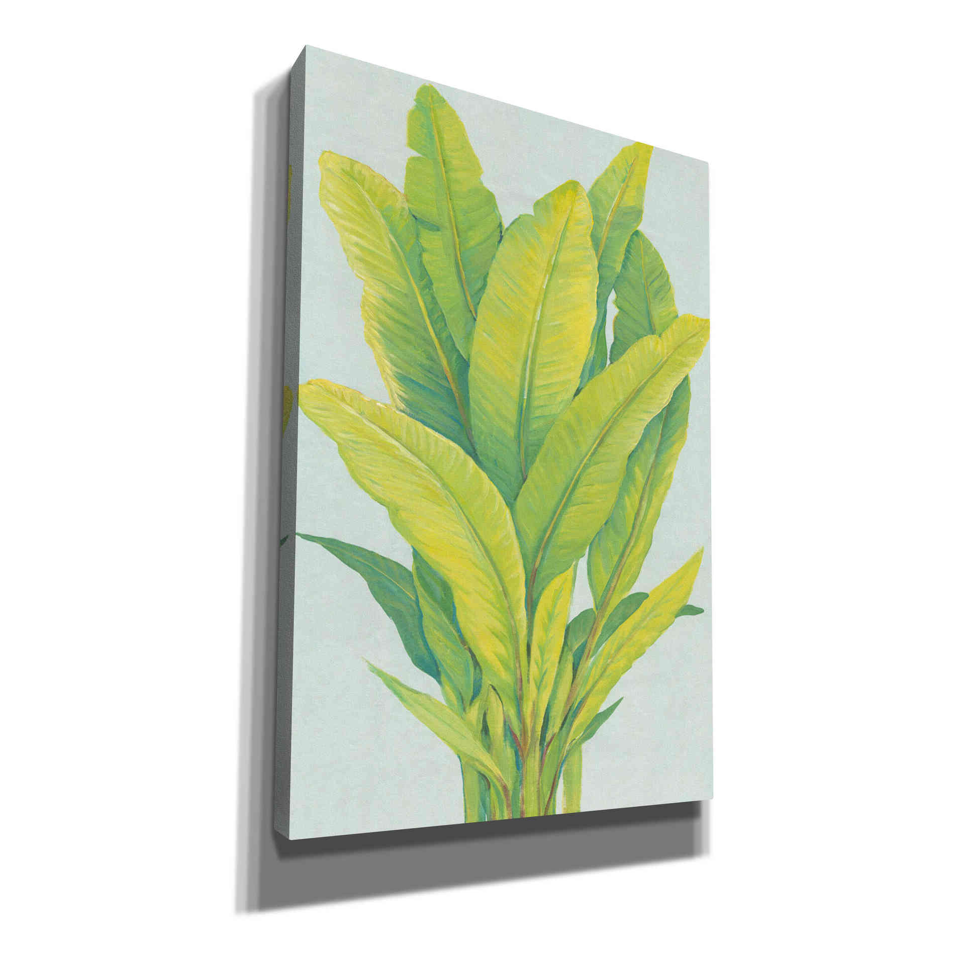 'Chartreuse Tropical Foliage I' by Tim O'Toole, Canvas Wall Art