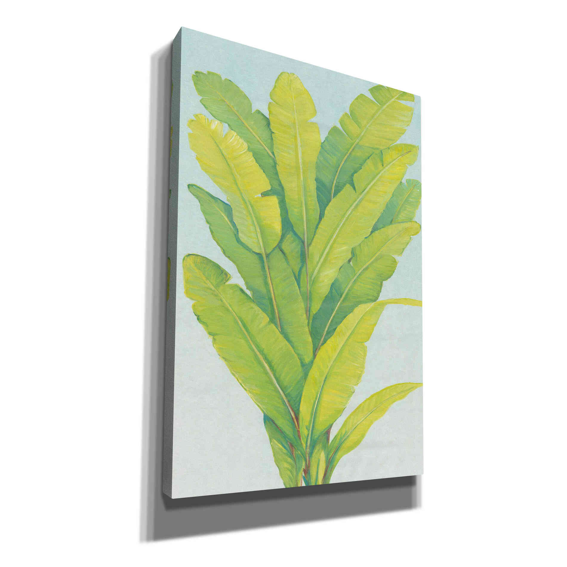 'Chartreuse Tropical Foliage II' by Tim O'Toole, Canvas Wall Art