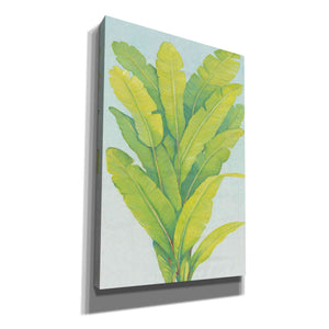 'Chartreuse Tropical Foliage II' by Tim O'Toole, Canvas Wall Art