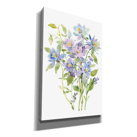 Image of 'Columbine Spray II' by Tim O'Toole, Canvas Wall Art