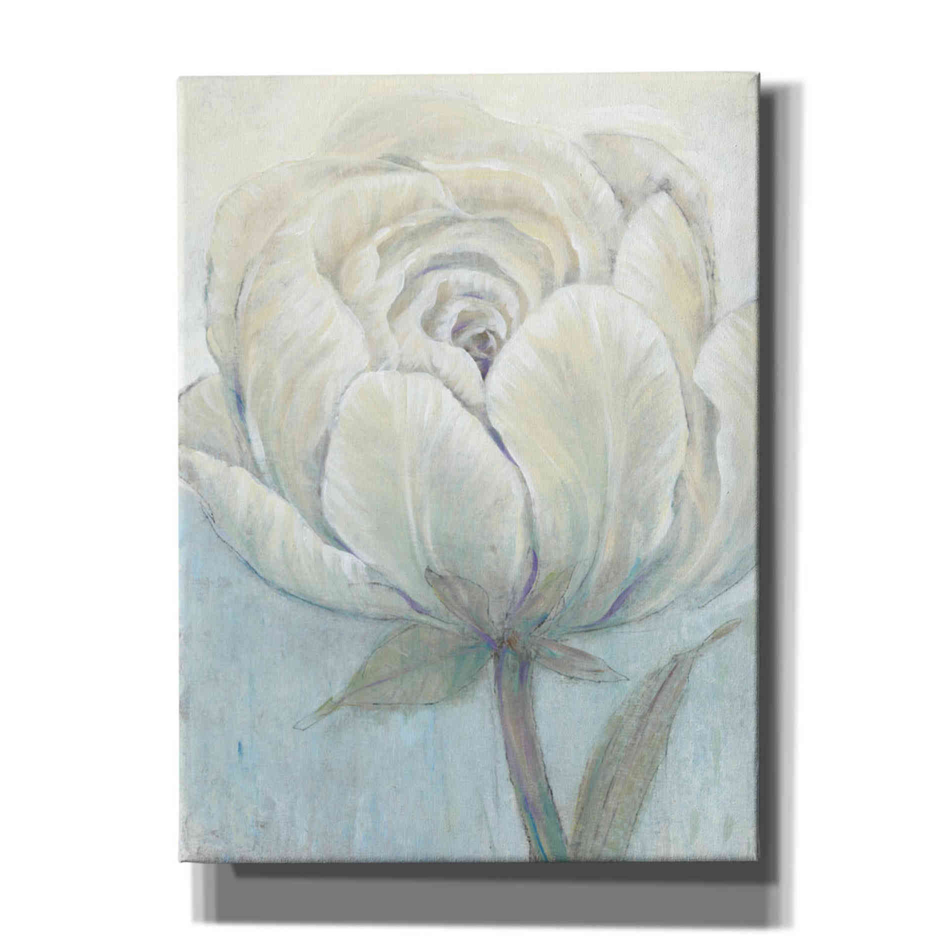 'English Rose I' by Tim O'Toole, Canvas Wall Art