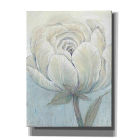 'English Rose I' by Tim O'Toole, Canvas Wall Art