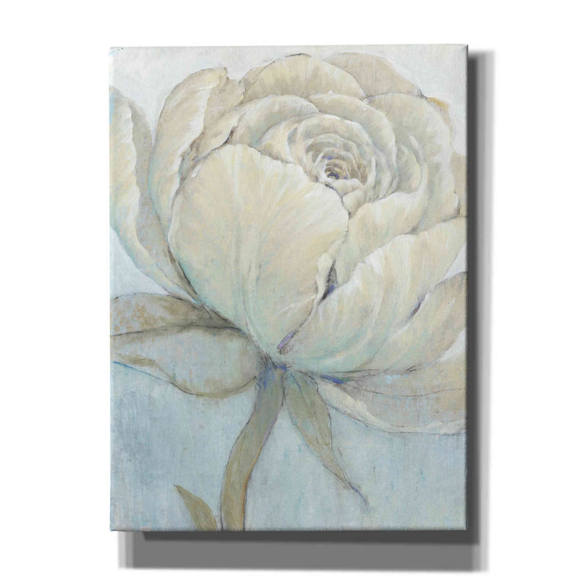 'English Rose II' by Tim O'Toole, Canvas Wall Art