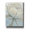 'English Rose II' by Tim O'Toole, Canvas Wall Art