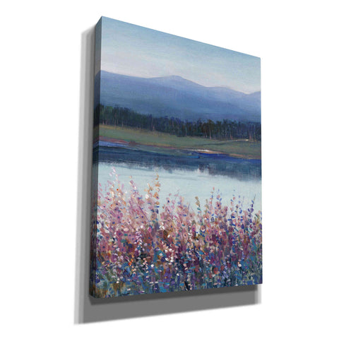 Image of 'Lakeside Mountain II' by Tim O'Toole, Canvas Wall Art