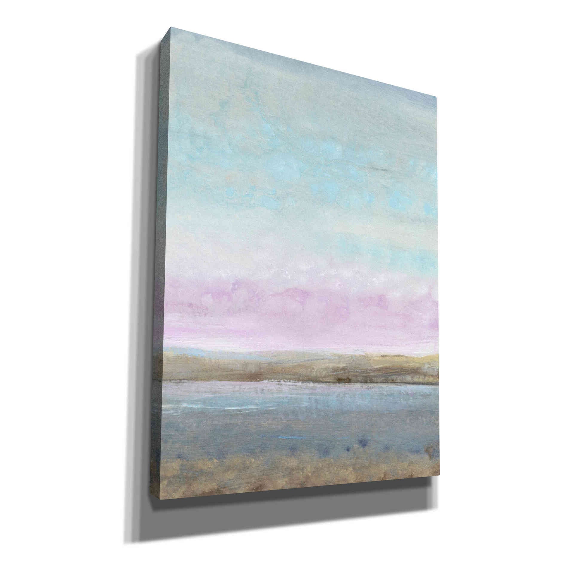 'Pink Horizon I' by Tim O'Toole, Canvas Wall Art