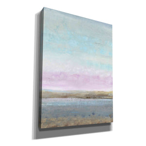 'Pink Horizon I' by Tim O'Toole, Canvas Wall Art