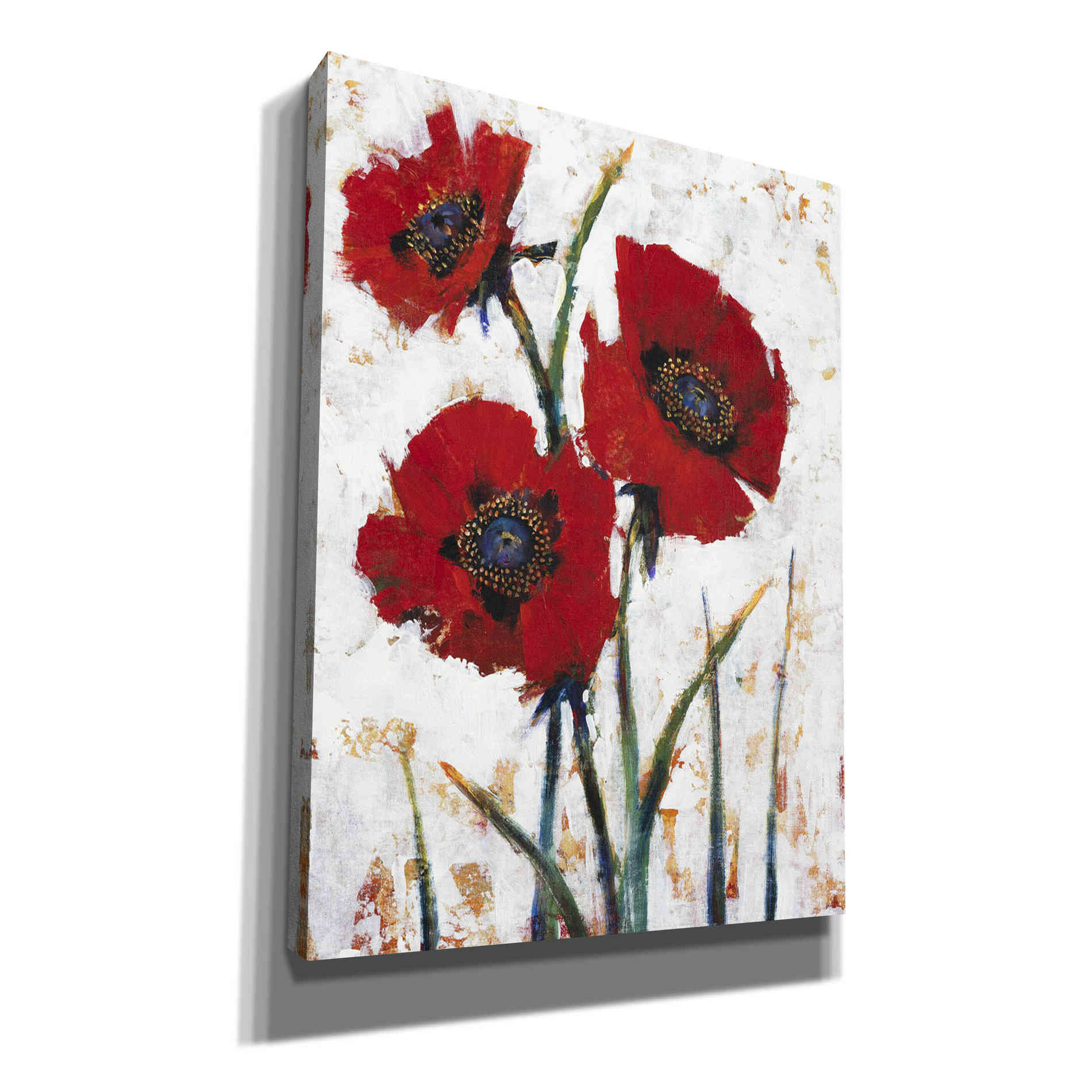 'Red Poppy Fresco I' by Tim O'Toole, Canvas Wall Art
