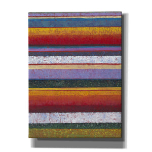 'Tulip Fields I' by Tim O'Toole, Canvas Wall Art