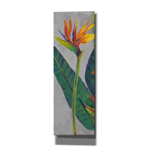 Image of 'Bird of Paradise Triptych I' by Tim O'Toole, Canvas Wall Art